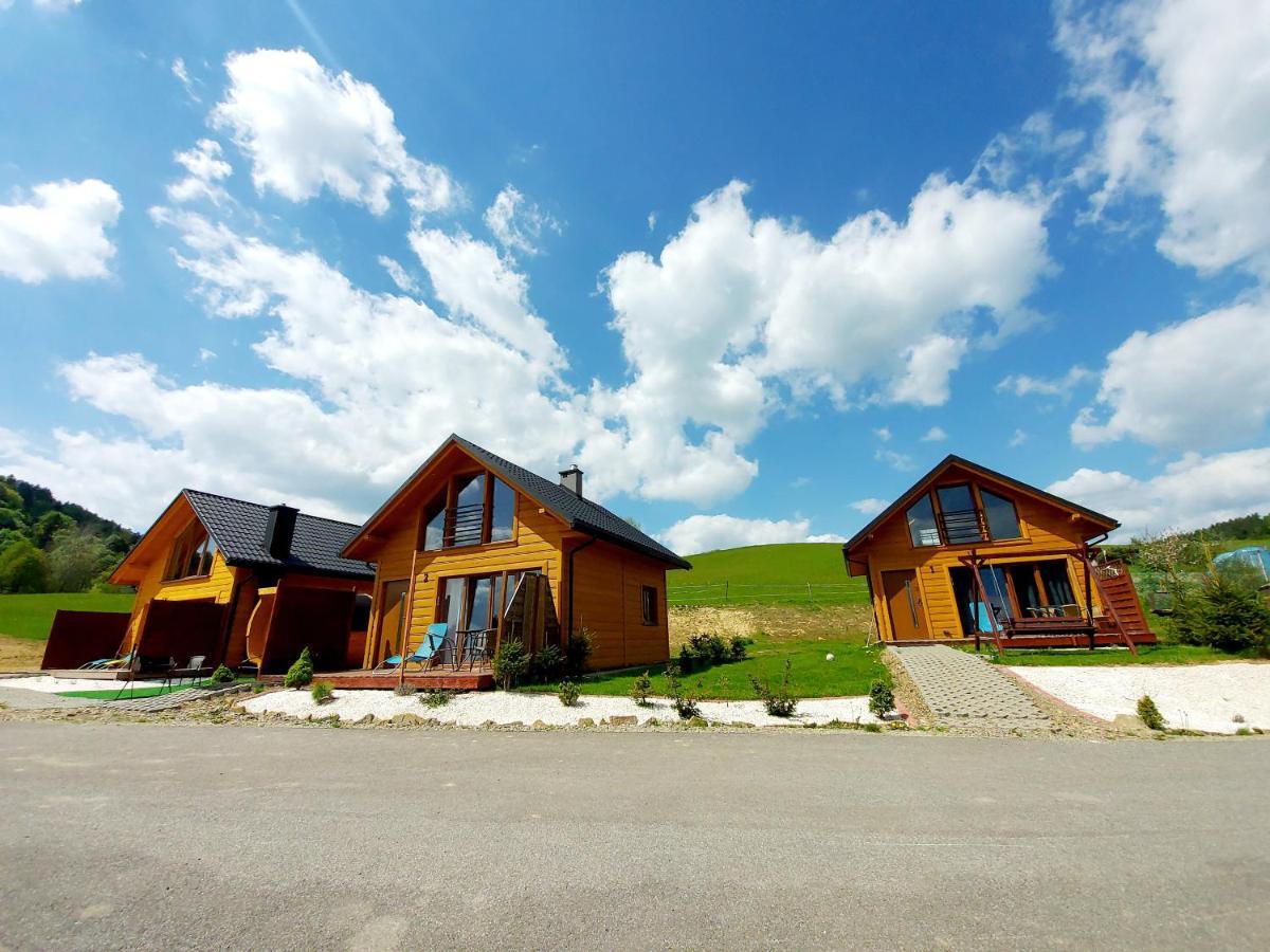 Domki Pod Bukowym Lasem Wankowa Exterior photo
